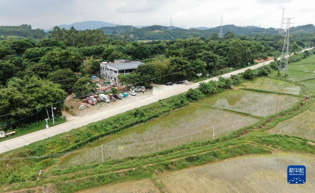 天9国际官网